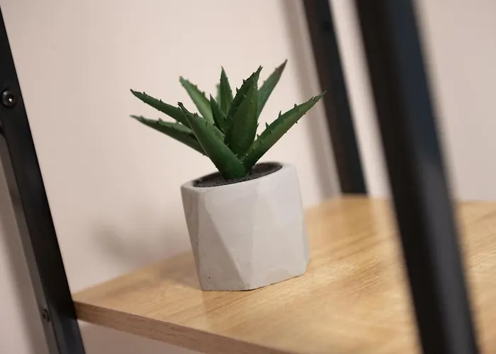 Апартаменты Ileana-marina 1 *